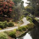 Arboretum and Public Garden pathway along Putah Creek.