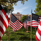 Flags on UC Davis campus