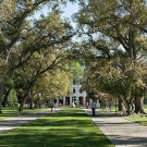 Mrak courtyard