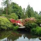 Pond, bridge and greenery 