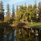 UC Davis Arboretum 