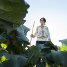 Student farmer standing in field with large vibrant leaves