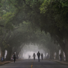 students biking by the MU in fog