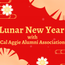 Yellow text reading "Lunar New Year with Cal Aggie Alumni Association" on a red background with white, yellow, and lighter red flowers.