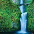 great pacific northwest 