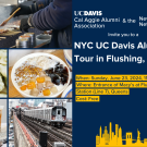 NYC Food Tour Social Graphic with Pictures of Boba, chicken skewers, dumplings, grass jelly dessert, and a NYC Subway. Social will be on Sunday, June 23rd from 11 am to 2 pm in Flushing, Queens, NYC.
