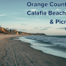 Orange County Aggies Calafia Beach Cleanup & Picnic Lunch