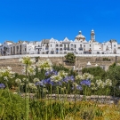 The white buildings of Locorontondo seen from outside the city walls among lillies of the nile and other vegetation.