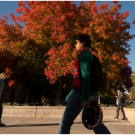 students walking with trees in the background