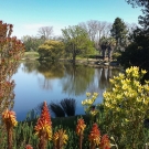 Arboretum Pond