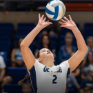 volleyball player in a game playing hitting a volleyball