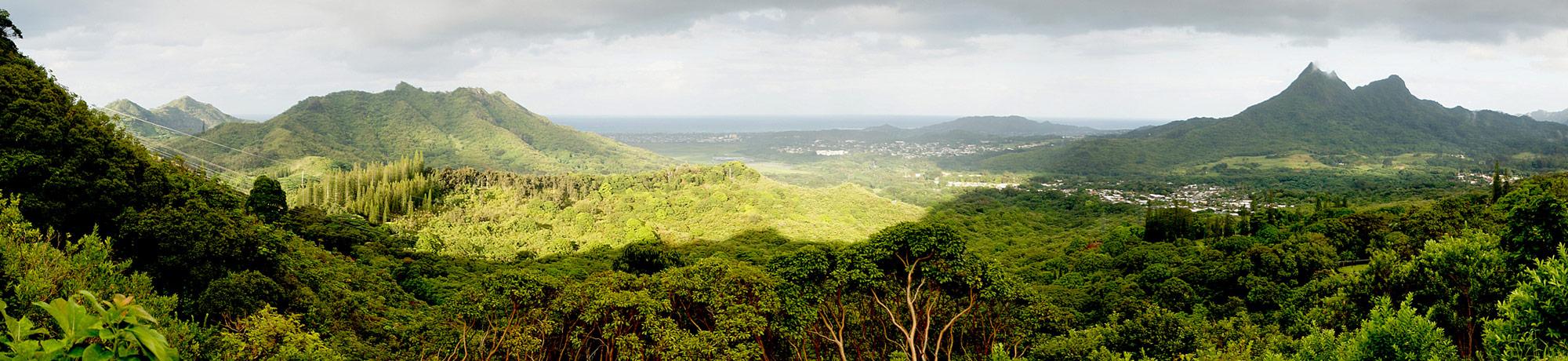 Hawaii hillside