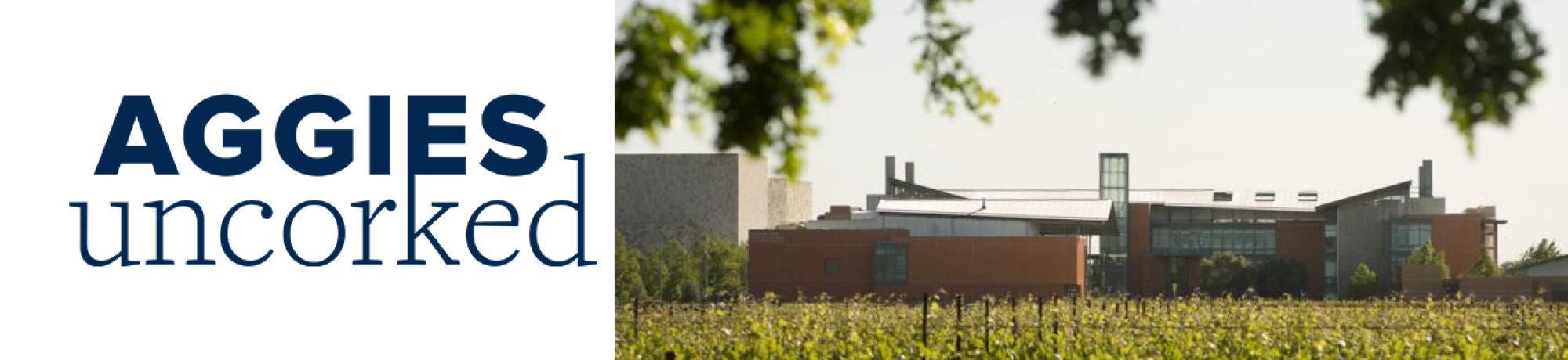 Aggies Uncorked logo and aerial view of Davis campus
