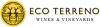 Eco Terreno Logo 
